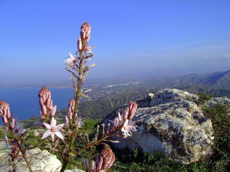 Velmer Hotel Lefka  Luaran gambar